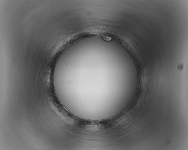 X0000114990404200911091340