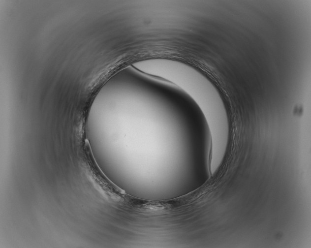 X0000114990405200911091340