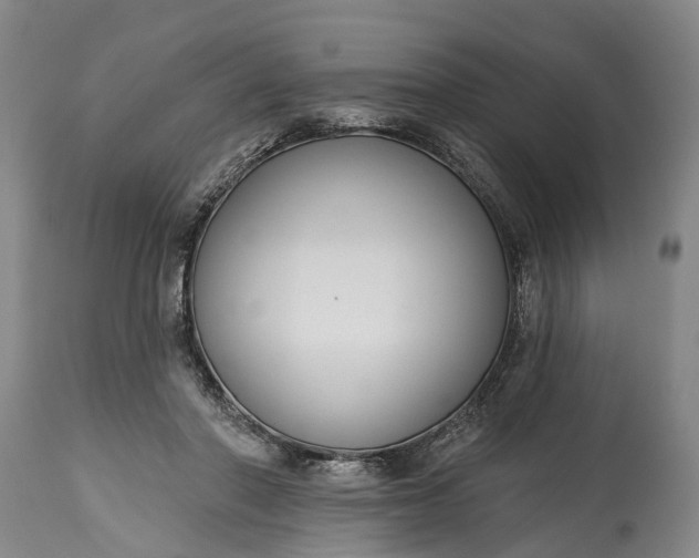 X0000114990406200911091340