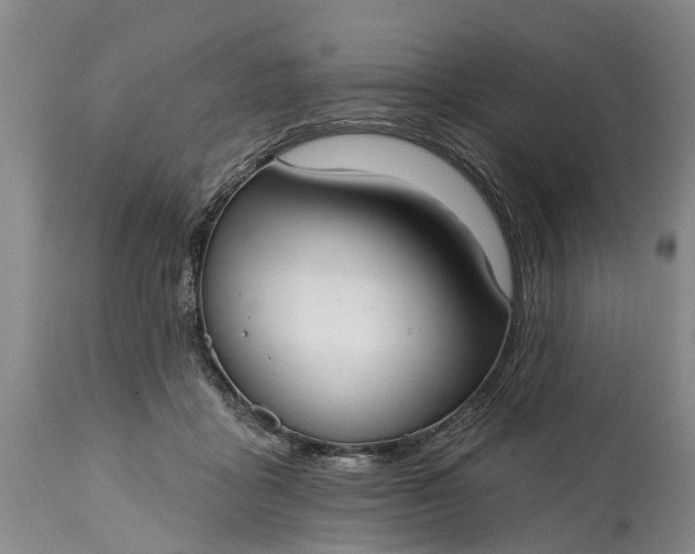 X0000114990411200911091340
