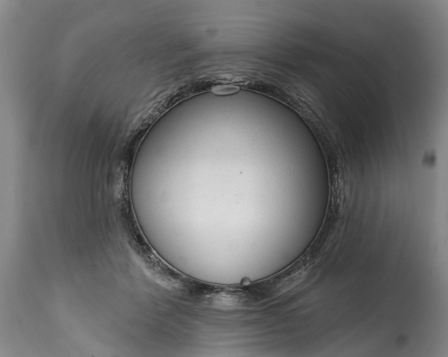 X0000114990412200911091340