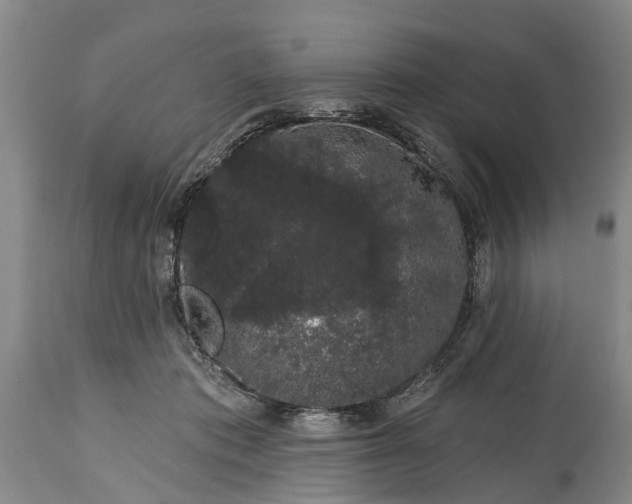 X0000114990413200911091340