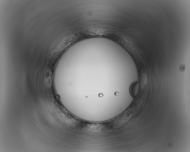 X0000114990414200911091340