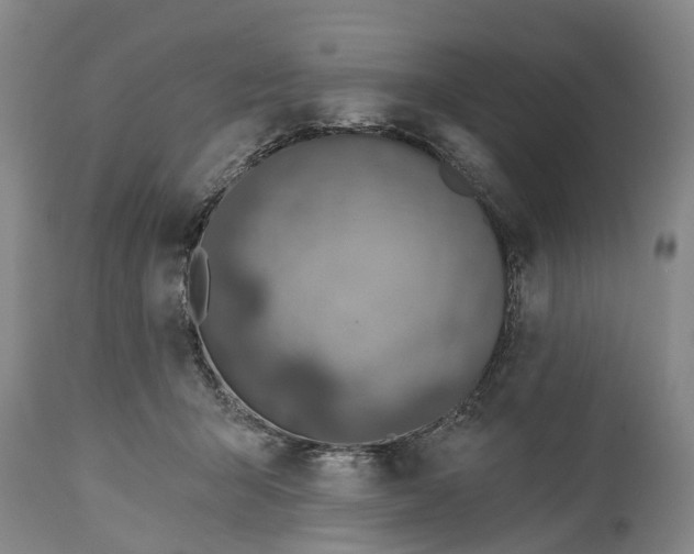 X0000114990415200911091339