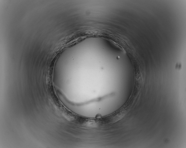 X0000114990416200911091339