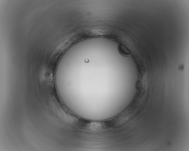 X0000114990418200911091339