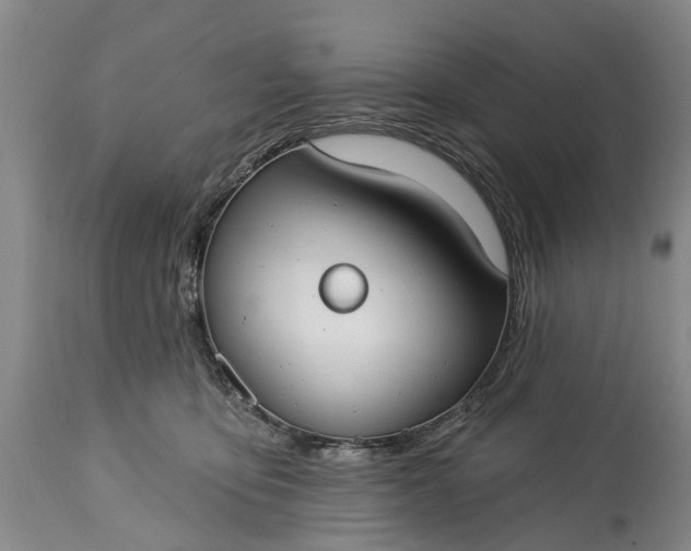 X0000114990419200911091339