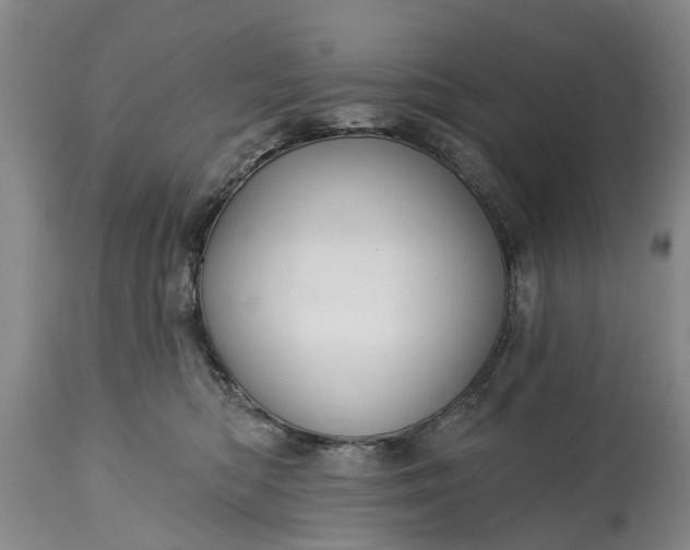 X0000114990422200911091339