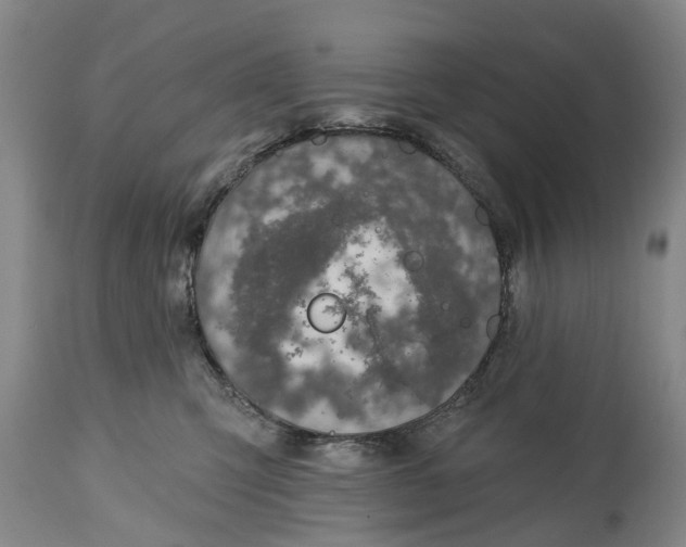 X0000114990423200911091339