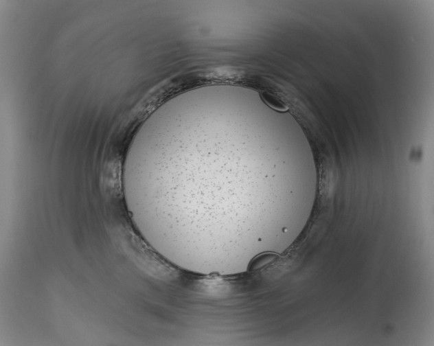X0000114990425200911091339