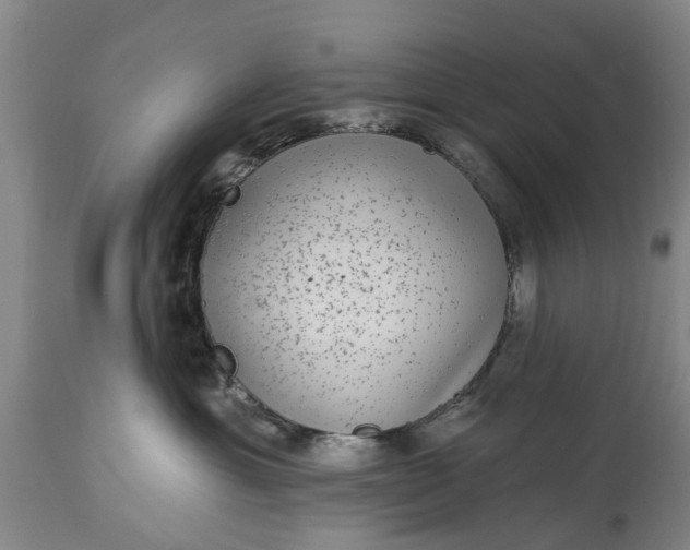 X0000114990429200911091339