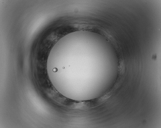 X0000114990430200911091339