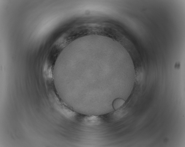 X0000114990431200911091339
