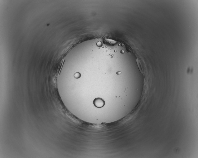 X0000114990432200911091339