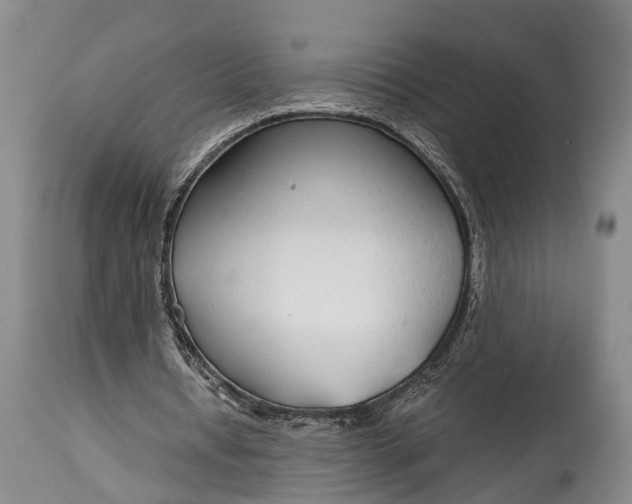 X0000114990434200911091339