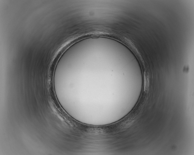 X0000114990435200911091339