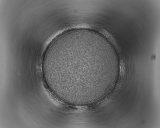 X0000114990436200911091339