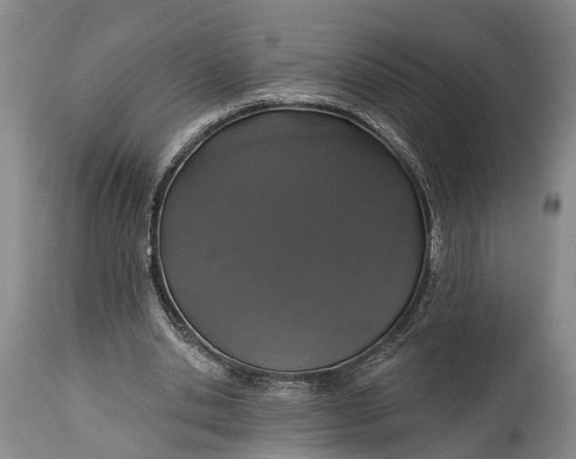 X0000114990438200911091339