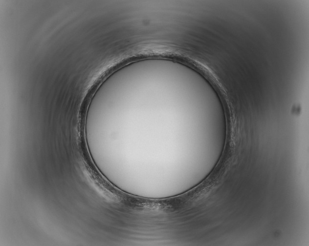 X0000114990439200911091339