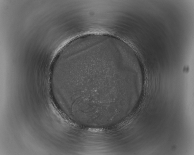 X0000114990440200911091339