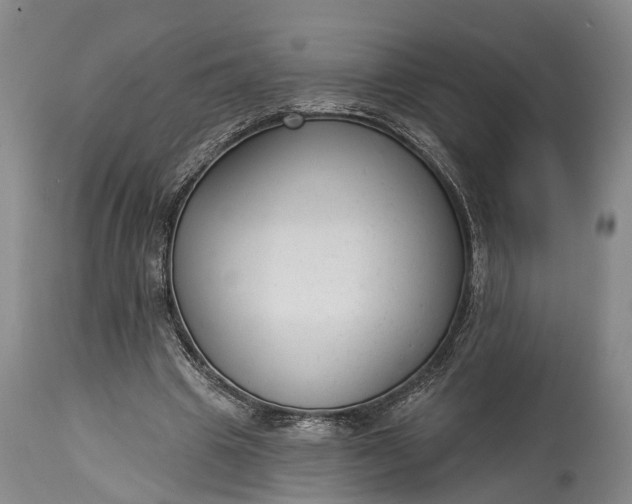 X0000114990441200911091339