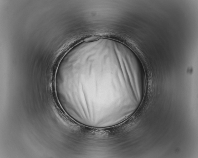 X0000114990443200911091339