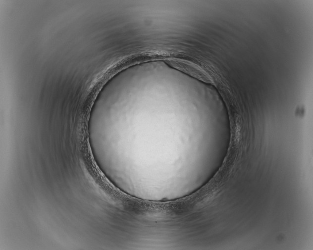 X0000114990444200911091339