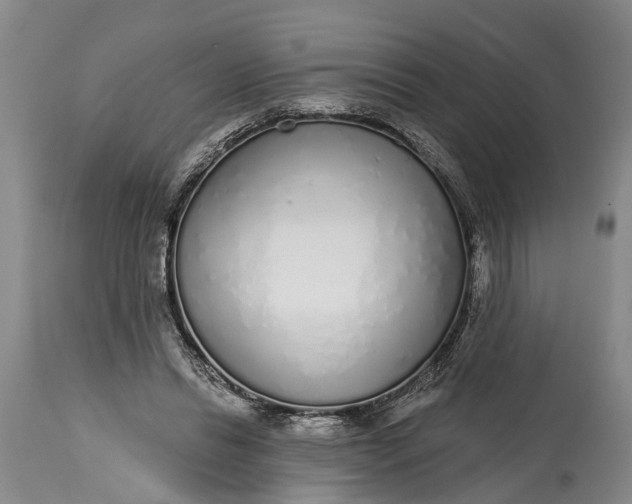 X0000114990446200911091339
