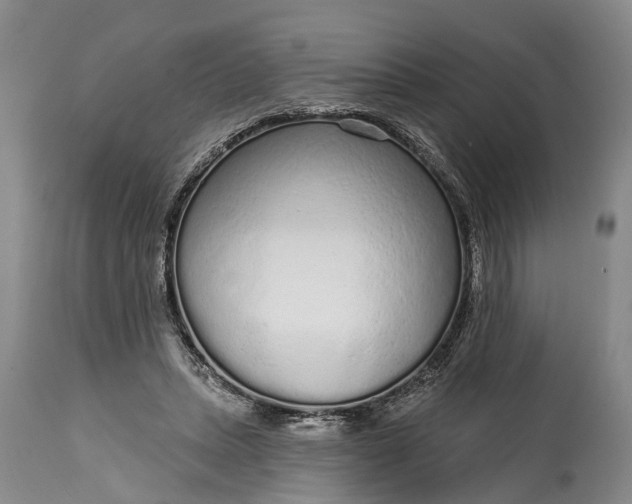 X0000114990447200911091339