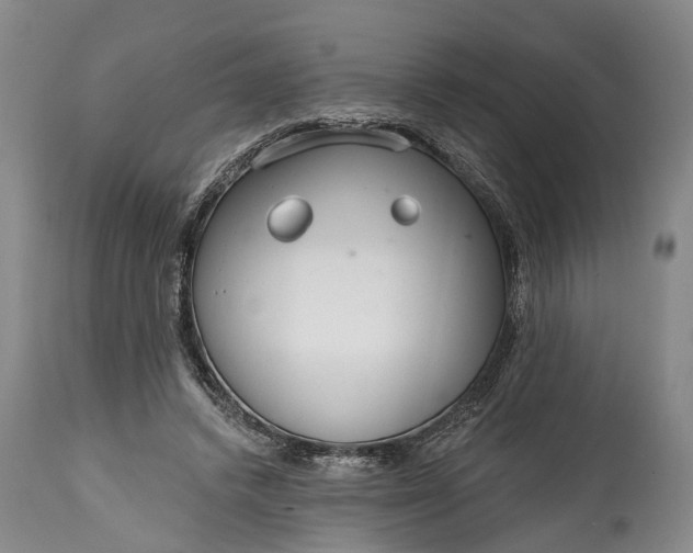 X0000114990448200911091339