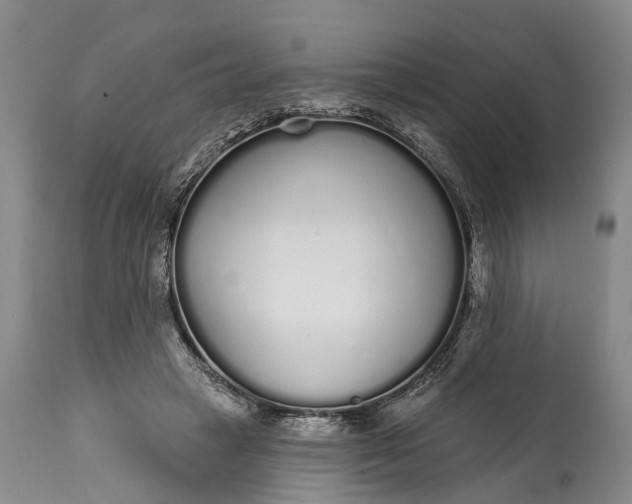 X0000114990449200911091339