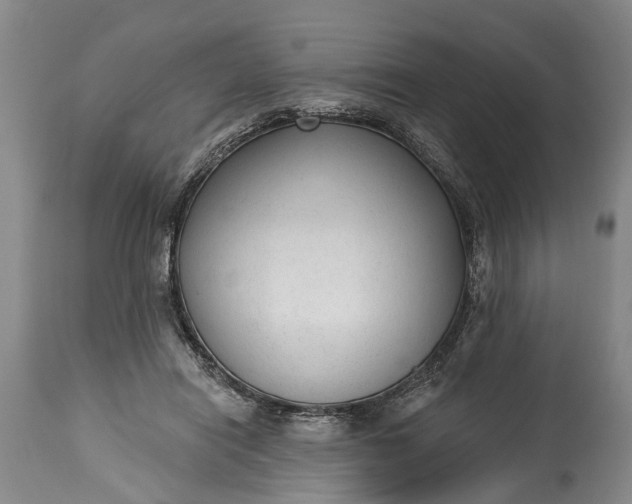 X0000114990454200911091339