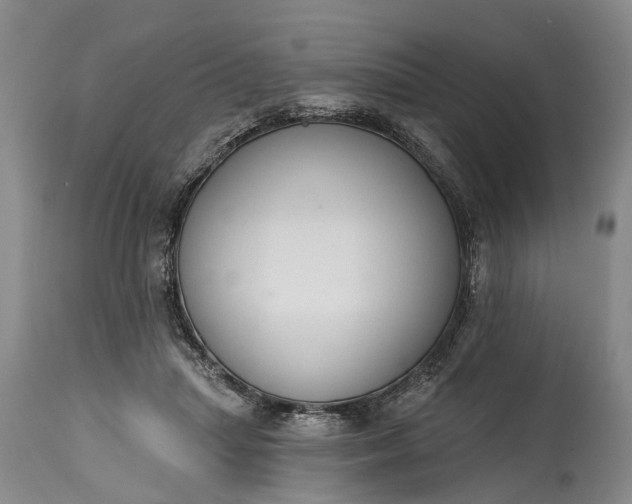 X0000114990455200911091339