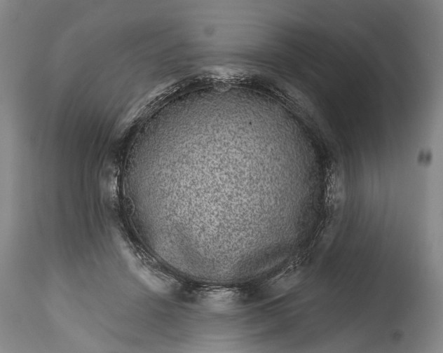 X0000114990456200911091339