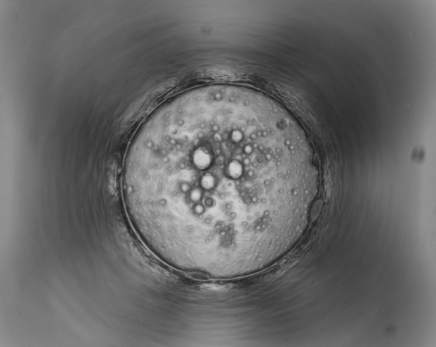 X0000114990457200911091339