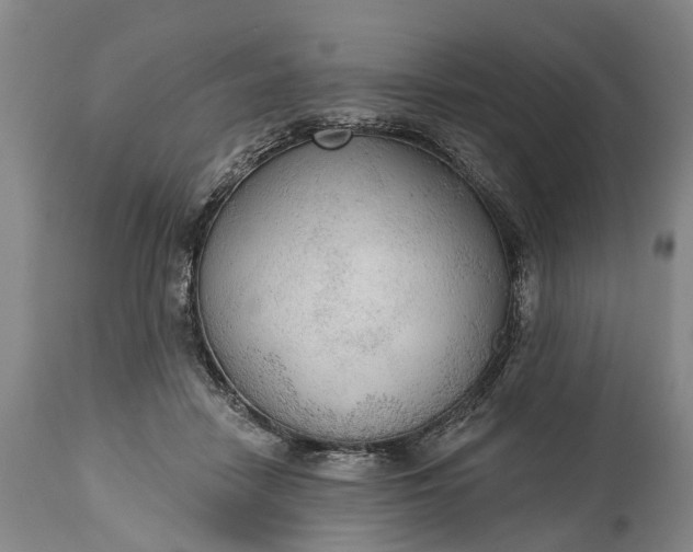 X0000114990458200911091339