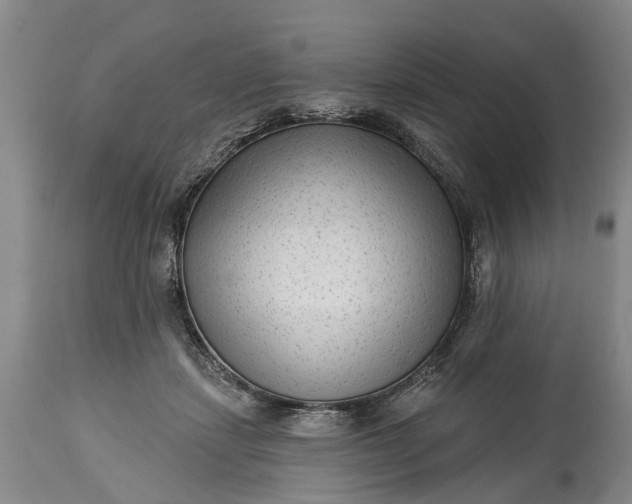 X0000114990459200911091339