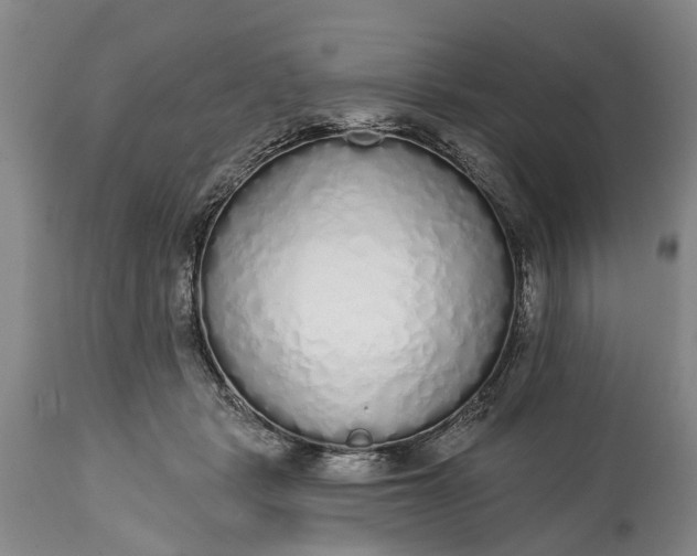 X0000114990461200911091339