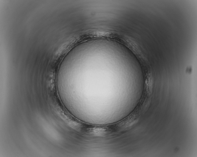X0000114990462200911091339