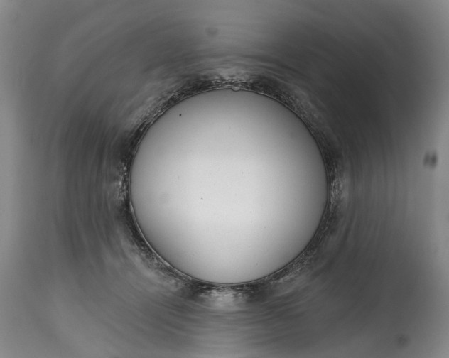 X0000114990464200911091339