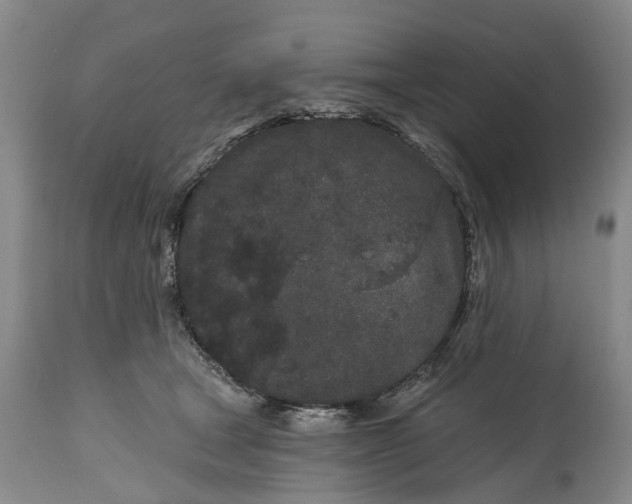X0000114990465200911091339