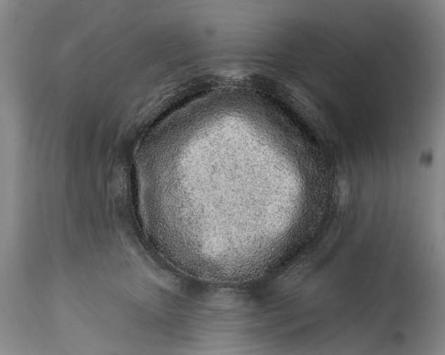 X0000114990467200911091339
