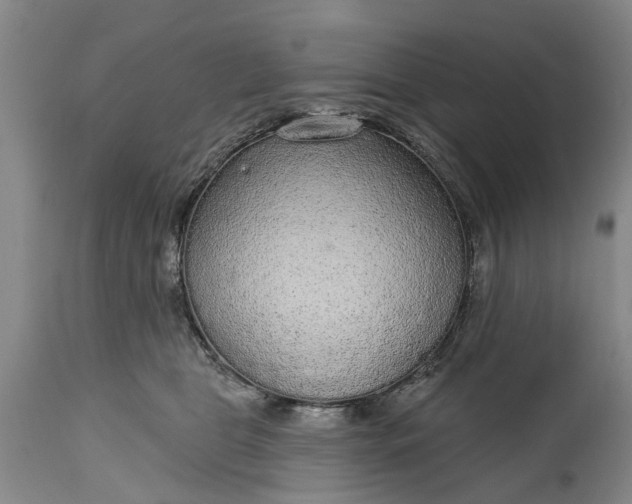 X0000114990469200911091339