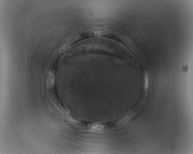 X0000114990471200911091339