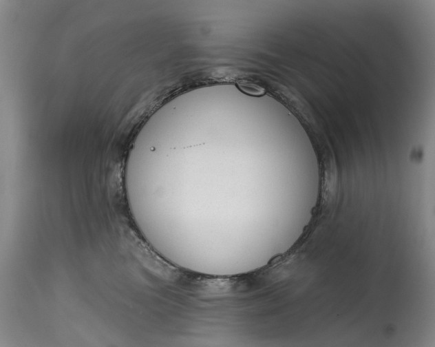 X0000114990473200911091339