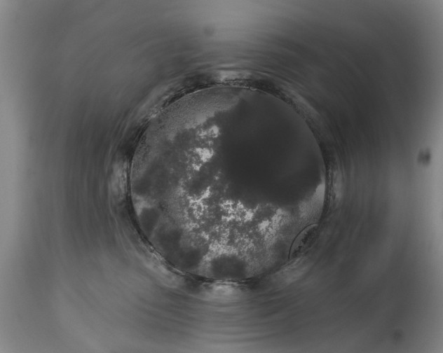 X0000114990475200911091339