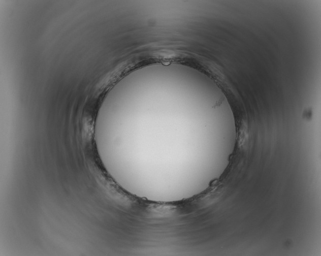 X0000114990476200911091339