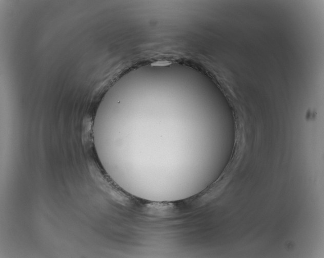 X0000114990480200911091339