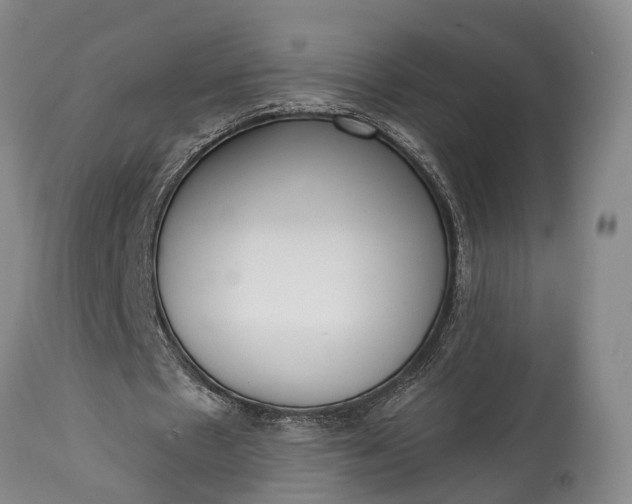X0000114990481200911091339