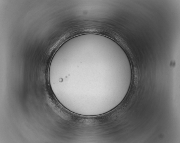 X0000114990482200911091339